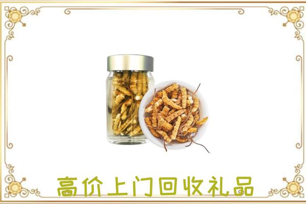 揭阳周边回收虫草